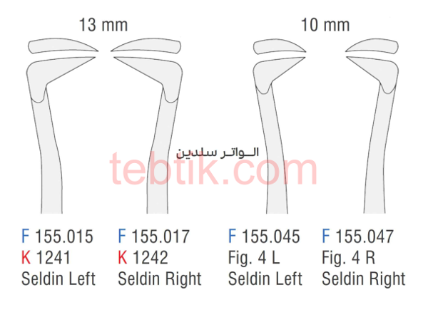 تصویر  الواتور سلدین فالکن