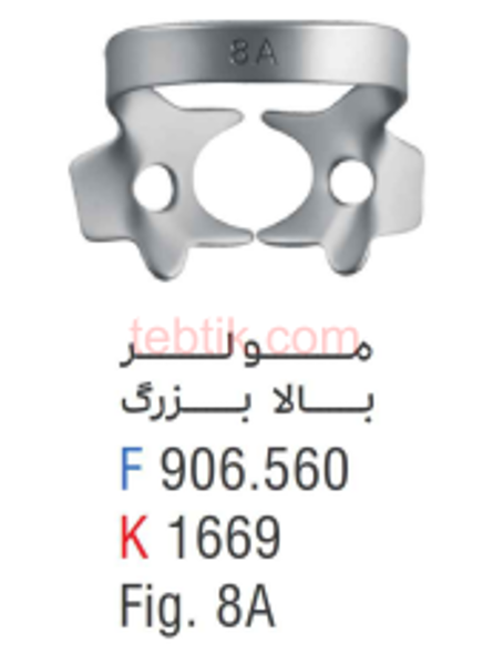 تصویر  کلمپ مولر های نیمه روییده و کوچک فالکن